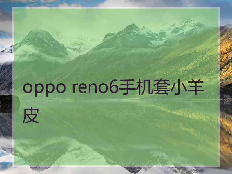 oppo reno6手机套小羊皮