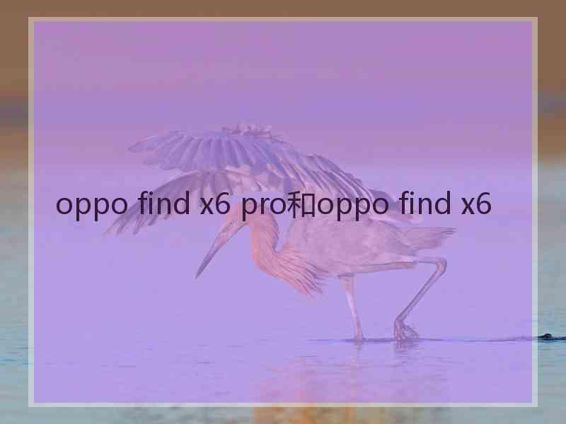 oppo find x6 pro和oppo find x6