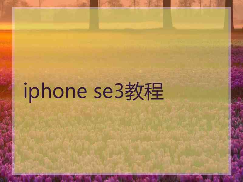 iphone se3教程