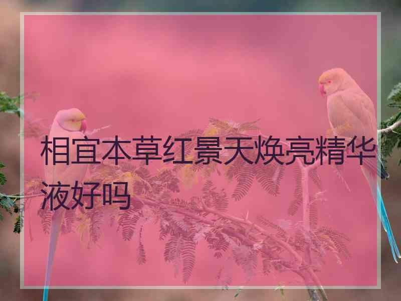 相宜本草红景天焕亮精华液好吗