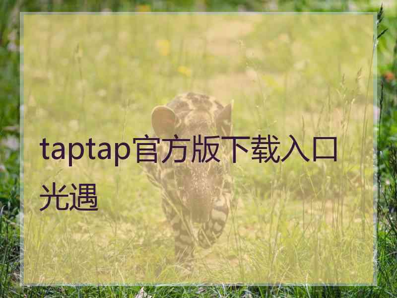 taptap官方版下载入口光遇