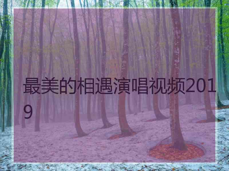 最美的相遇演唱视频2019