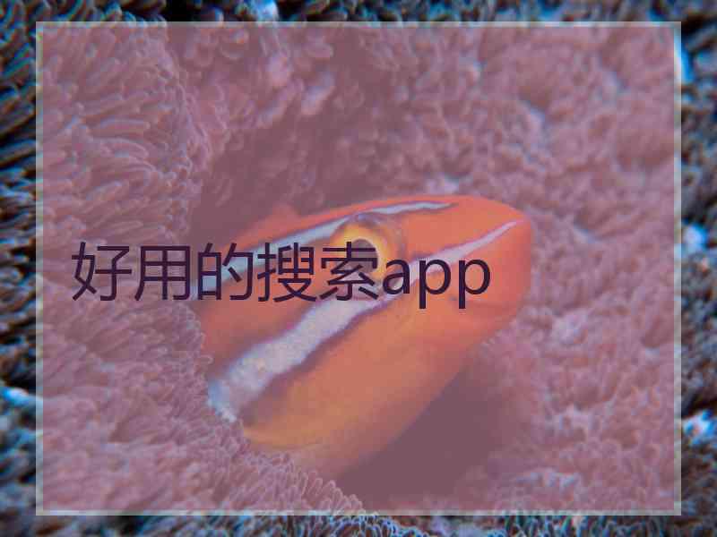 好用的搜索app