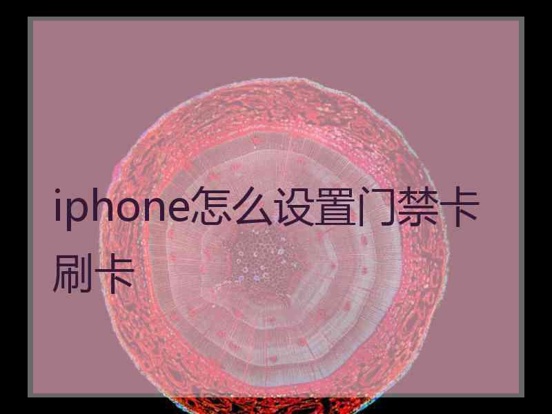 iphone怎么设置门禁卡刷卡