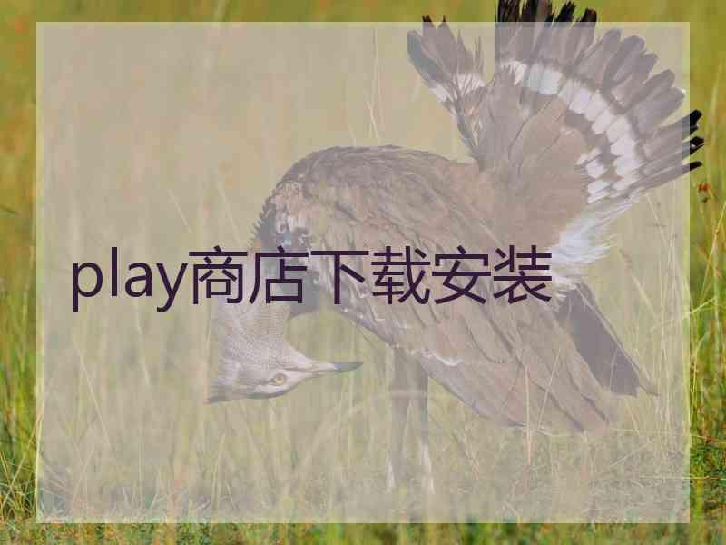 play商店下载安装