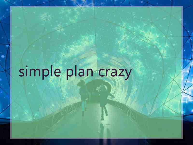 simple plan crazy