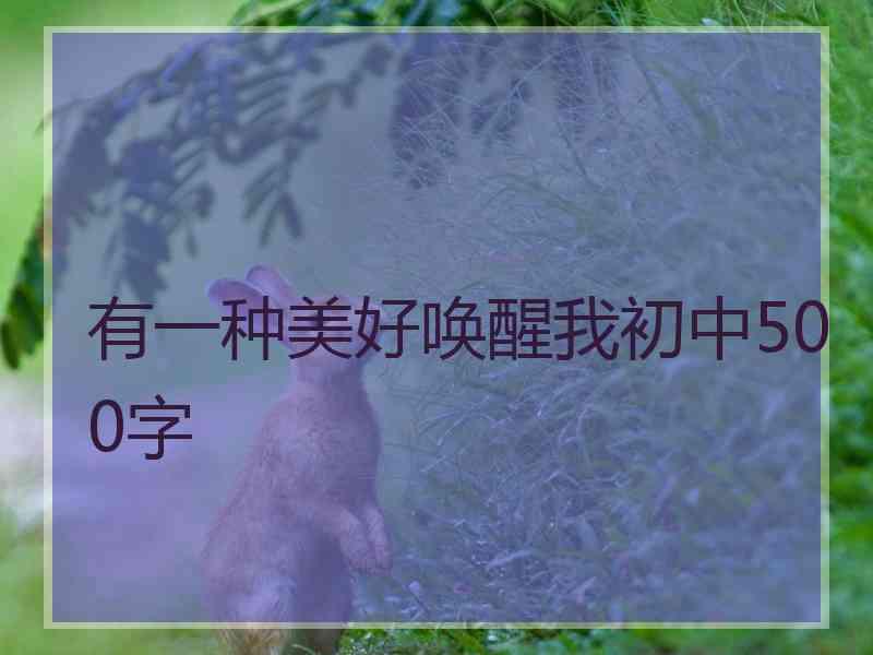 有一种美好唤醒我初中500字