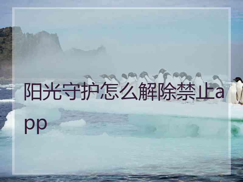 阳光守护怎么解除禁止app