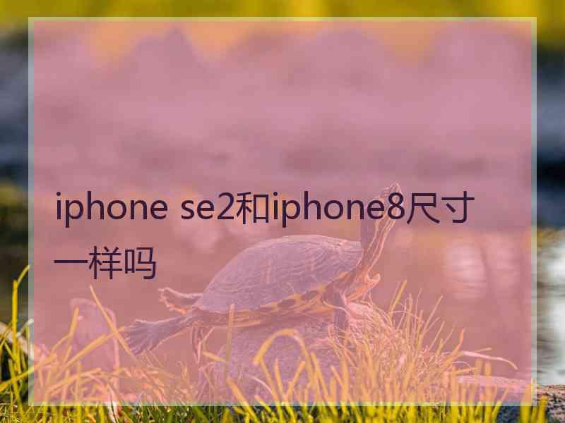 iphone se2和iphone8尺寸一样吗