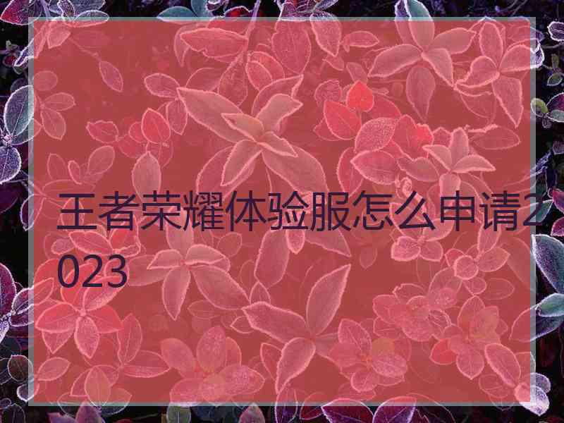 王者荣耀体验服怎么申请2023