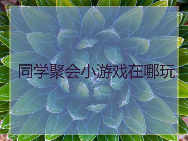 同学聚会小游戏在哪玩