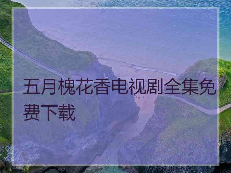 五月槐花香电视剧全集免费下载