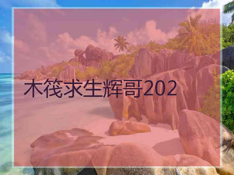 木筏求生辉哥202