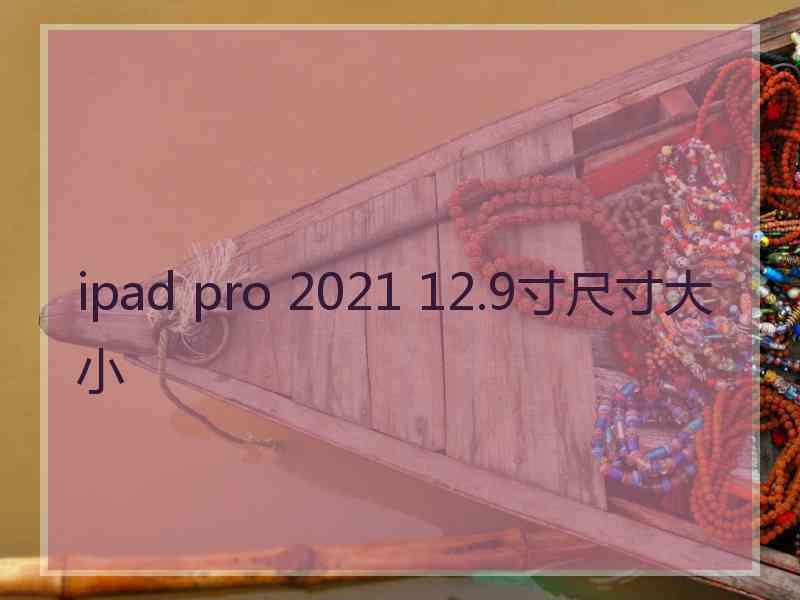 ipad pro 2021 12.9寸尺寸大小