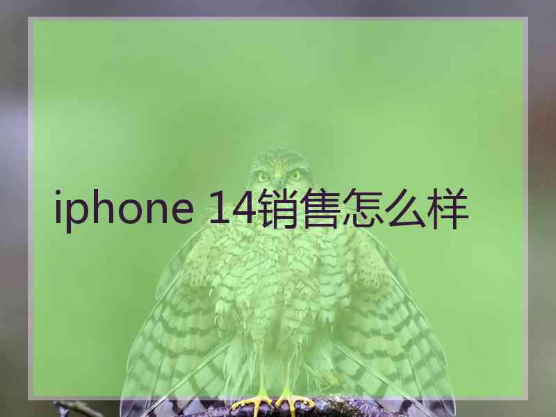 iphone 14销售怎么样