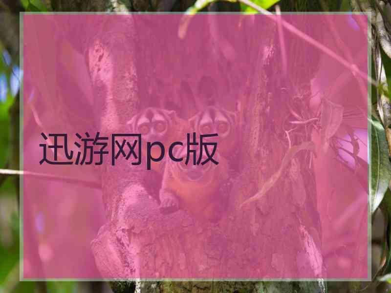 迅游网pc版