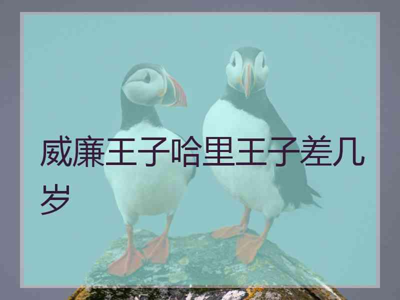 威廉王子哈里王子差几岁