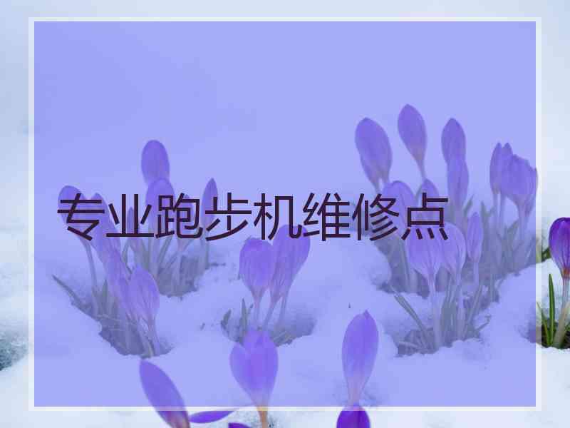 专业跑步机维修点