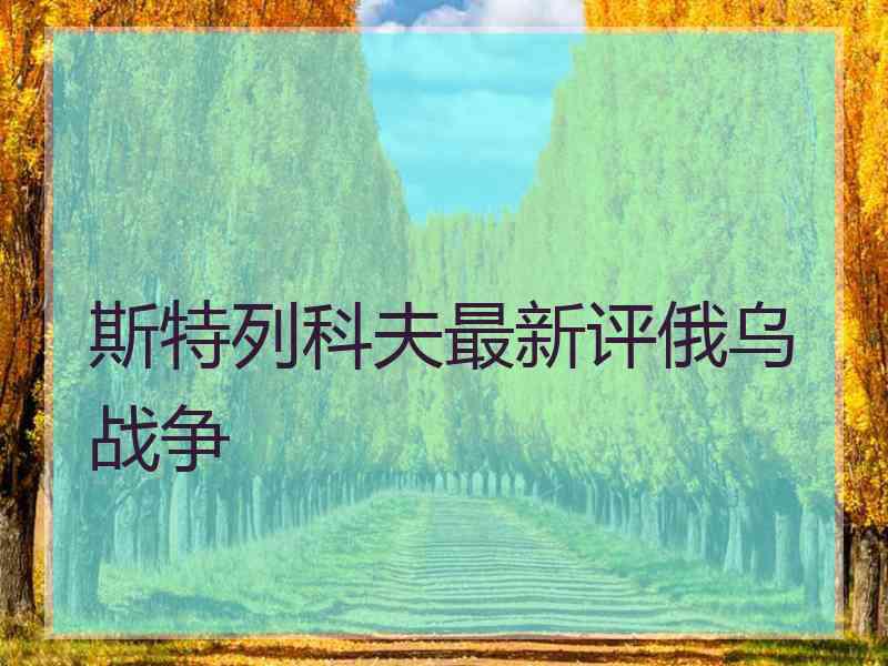 斯特列科夫最新评俄乌战争