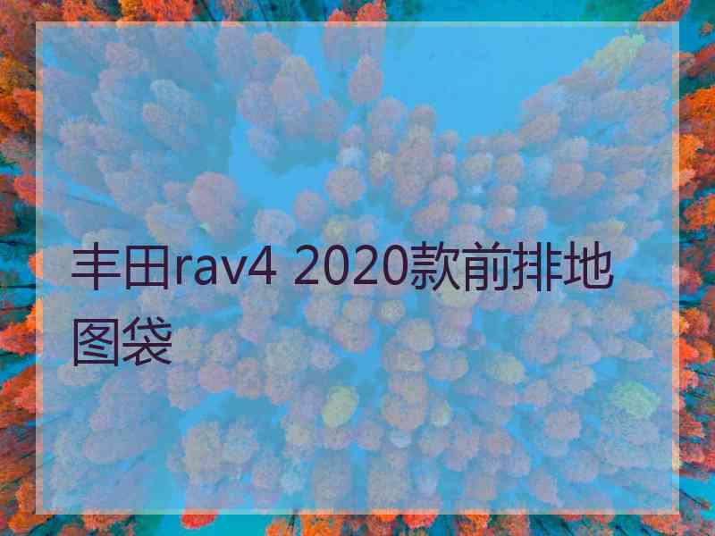 丰田rav4 2020款前排地图袋