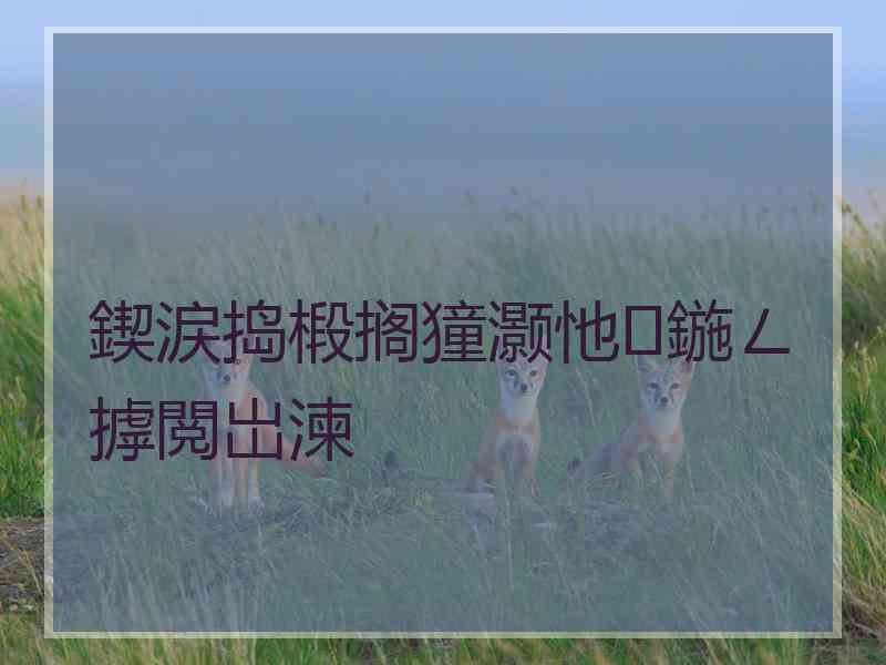 鍥涙捣椴搁獞灏忚鍦ㄥ摢閲岀湅