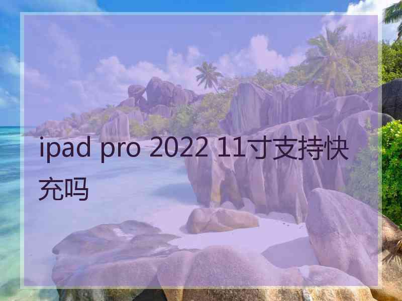 ipad pro 2022 11寸支持快充吗