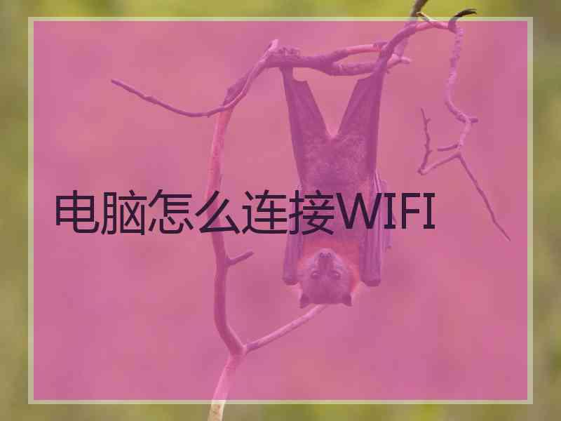 电脑怎么连接WIFI