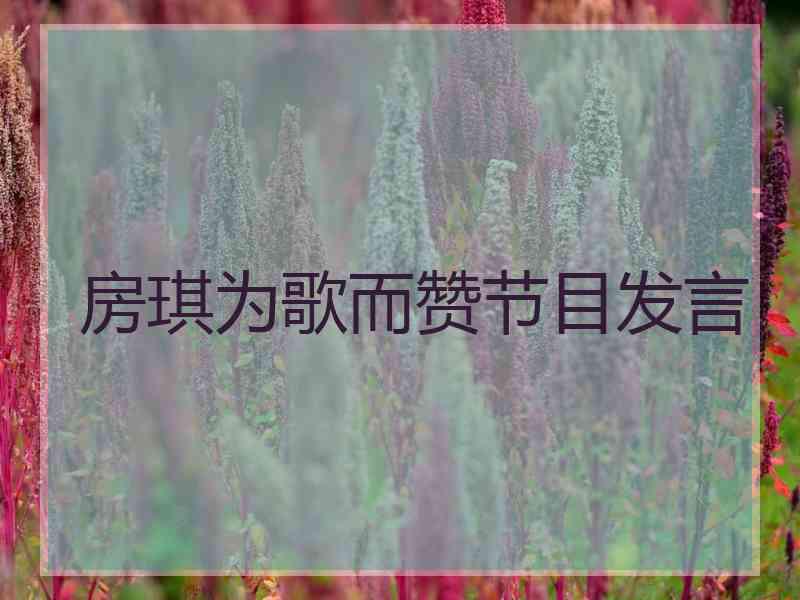 房琪为歌而赞节目发言