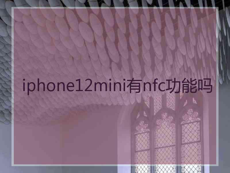 iphone12mini有nfc功能吗