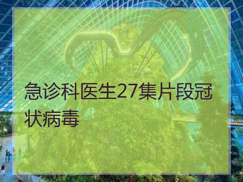 急诊科医生27集片段冠状病毒