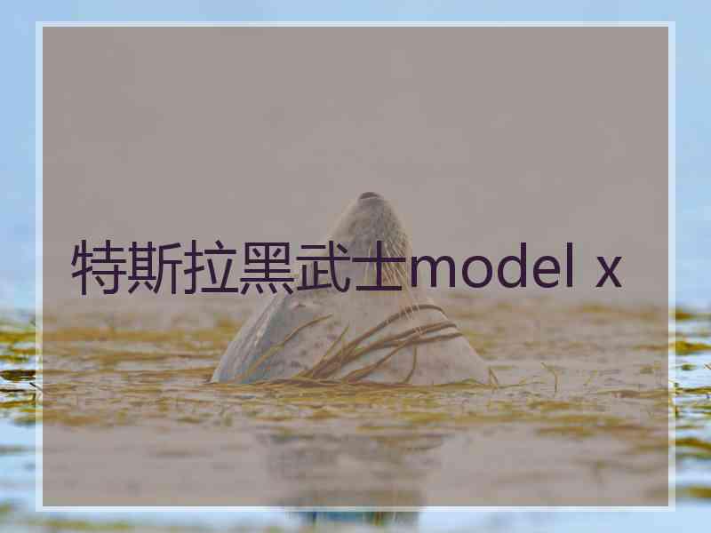 特斯拉黑武士model x