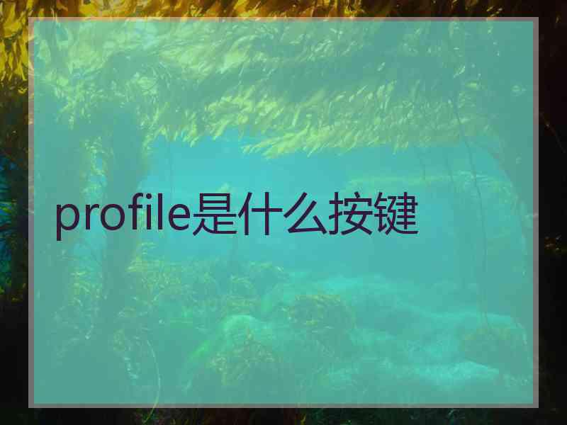 profile是什么按键