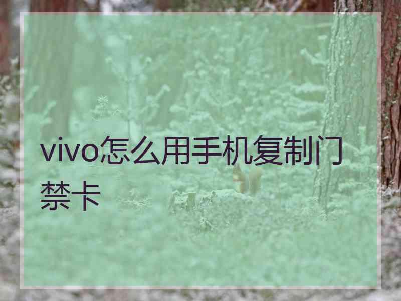 vivo怎么用手机复制门禁卡