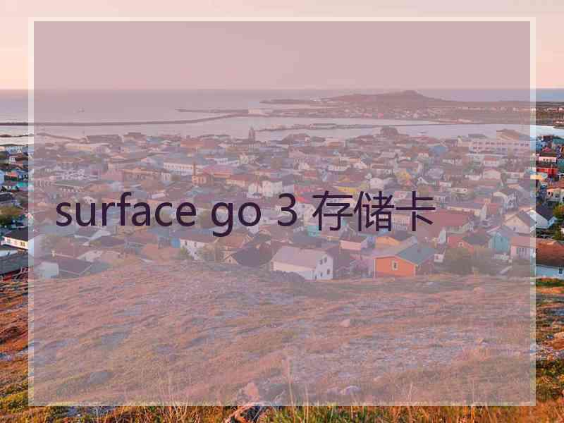 surface go 3 存储卡