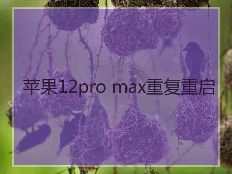 苹果12pro max重复重启