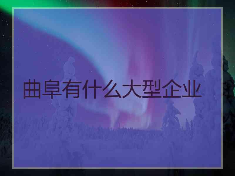 曲阜有什么大型企业