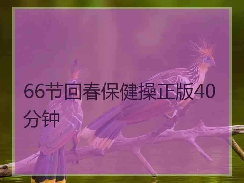 66节回春保健操正版40分钟