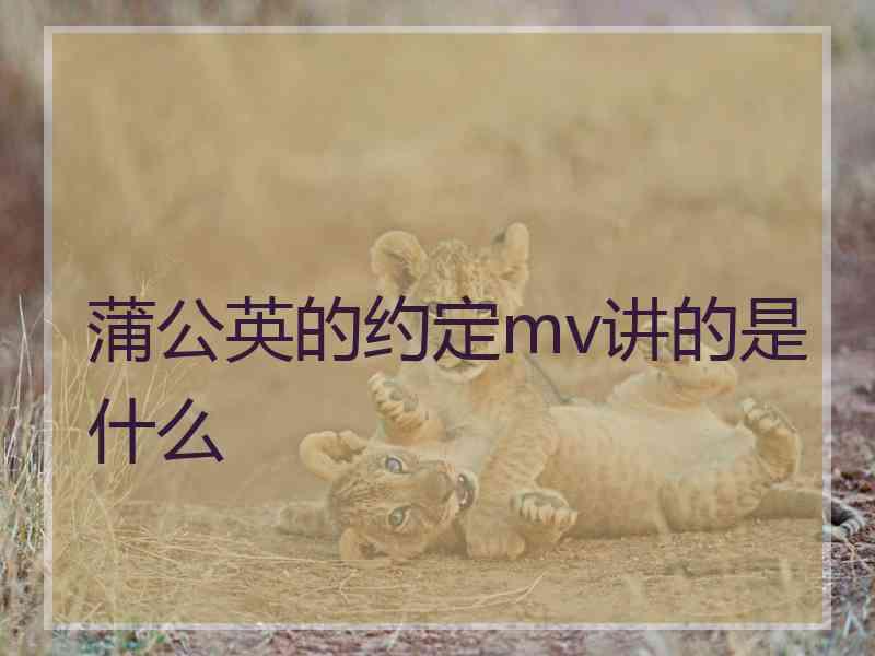 蒲公英的约定mv讲的是什么