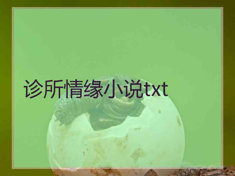 诊所情缘小说txt