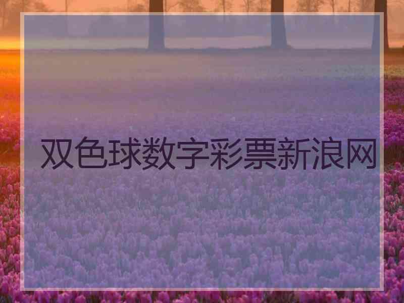 双色球数字彩票新浪网