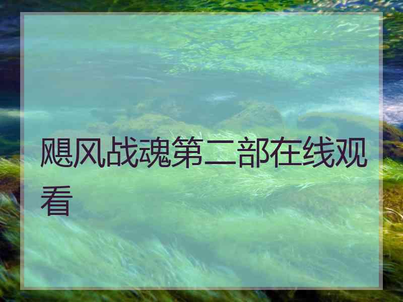 飓风战魂第二部在线观看