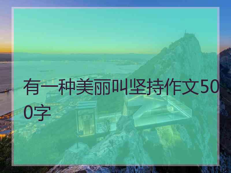 有一种美丽叫坚持作文500字