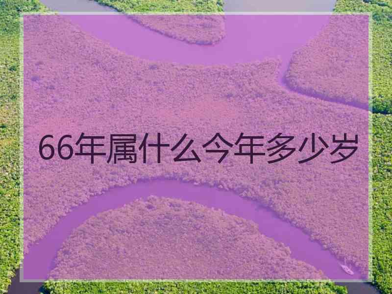 66年属什么今年多少岁