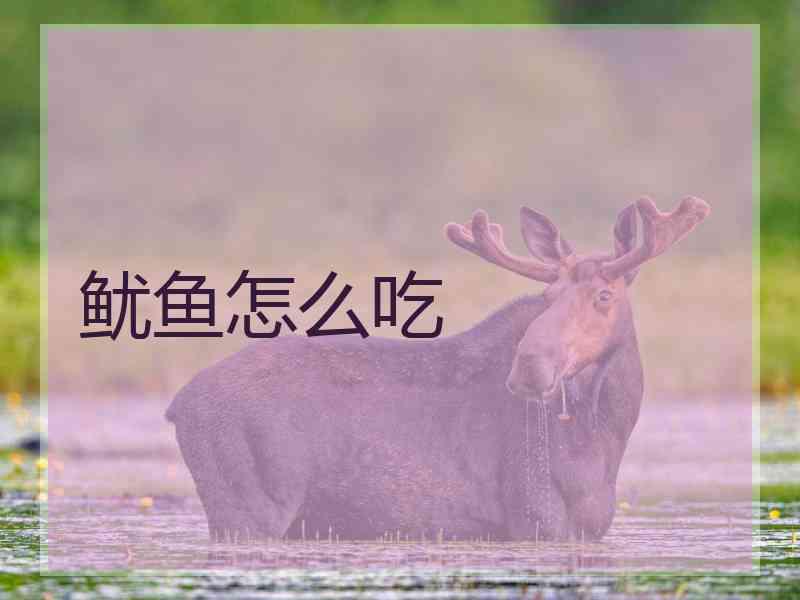 鱿鱼怎么吃