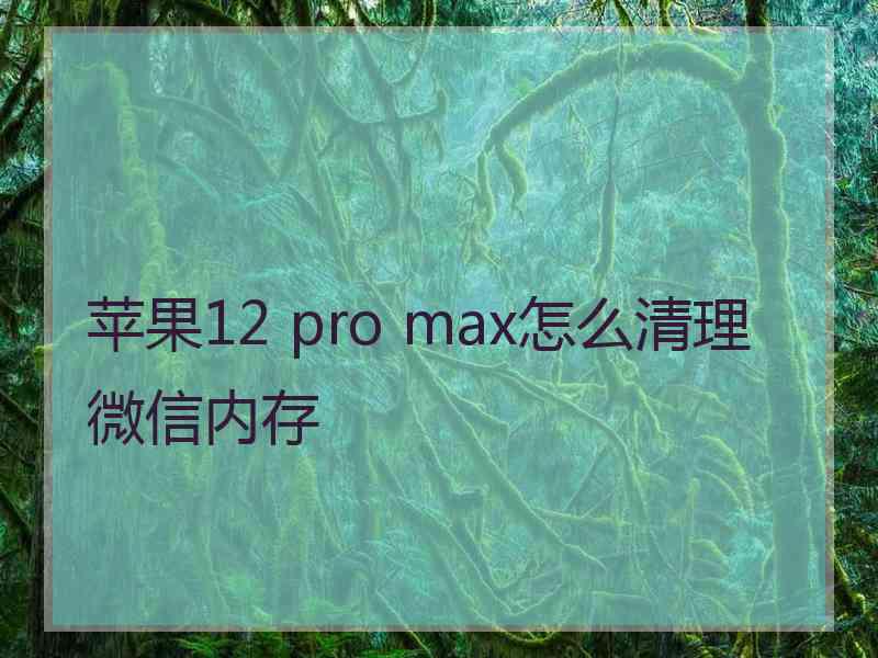 苹果12 pro max怎么清理微信内存