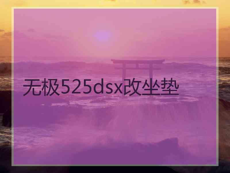 无极525dsx改坐垫