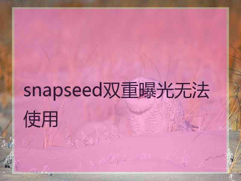 snapseed双重曝光无法使用