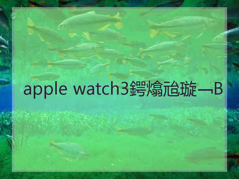 apple watch3鍔熻兘璇﹁В