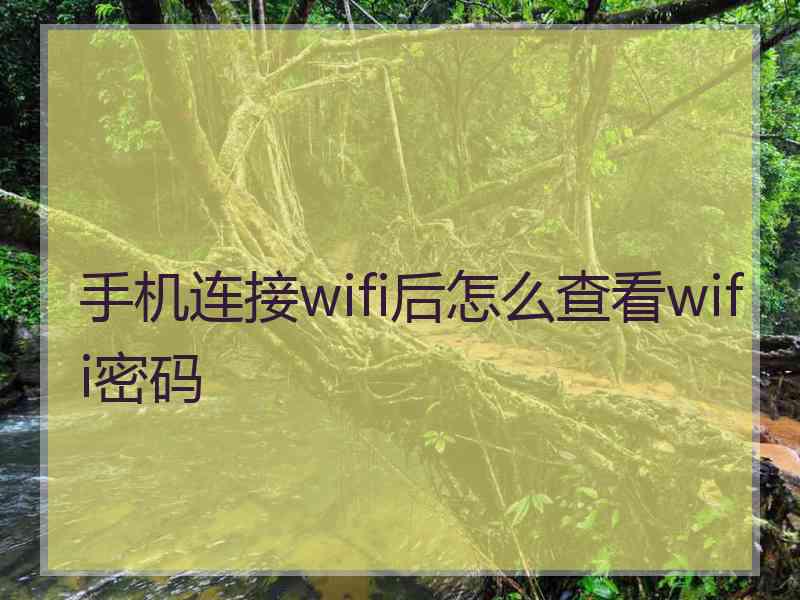 手机连接wifi后怎么查看wifi密码