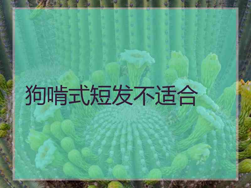 狗啃式短发不适合